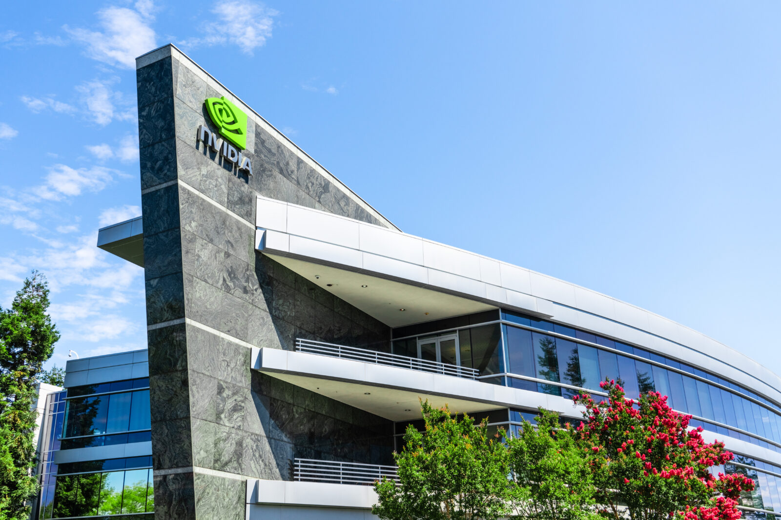 NVIDIA Reads Between the Lines