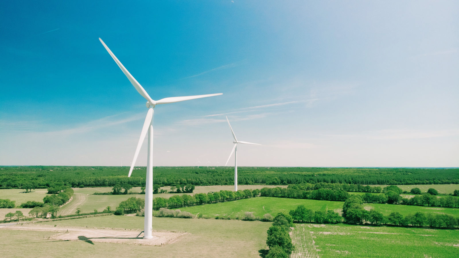 Can Wind Power Ride Out the Storm?